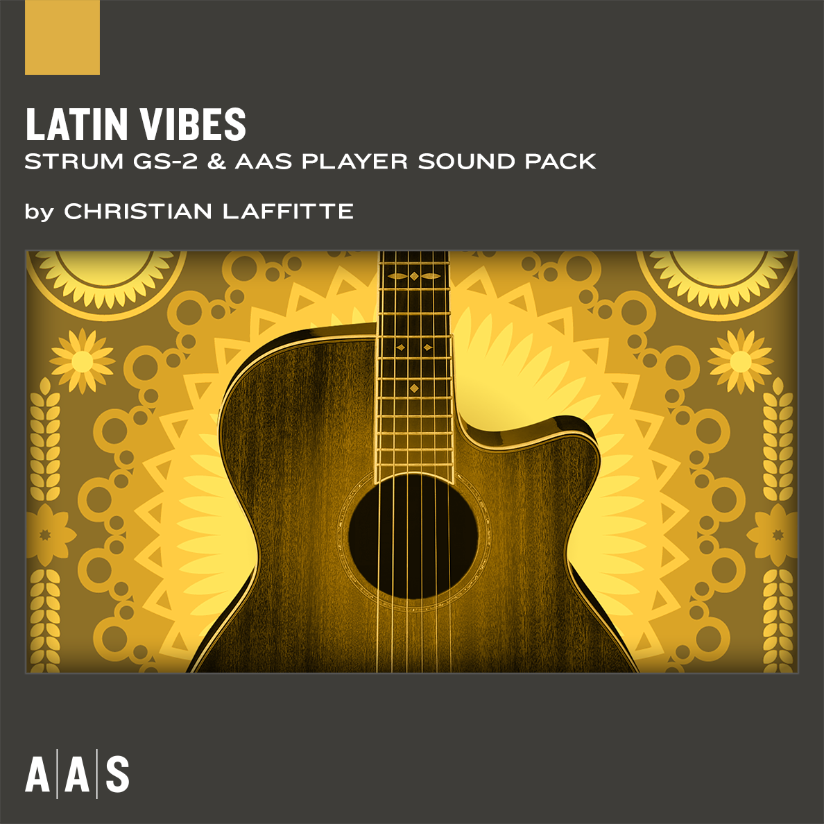 Applied Acoustics Systems Latin Vibes 2