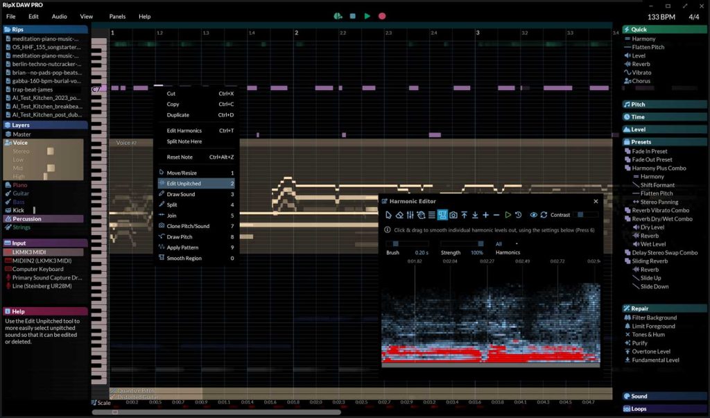 Hit`n`Mix RipX DAW