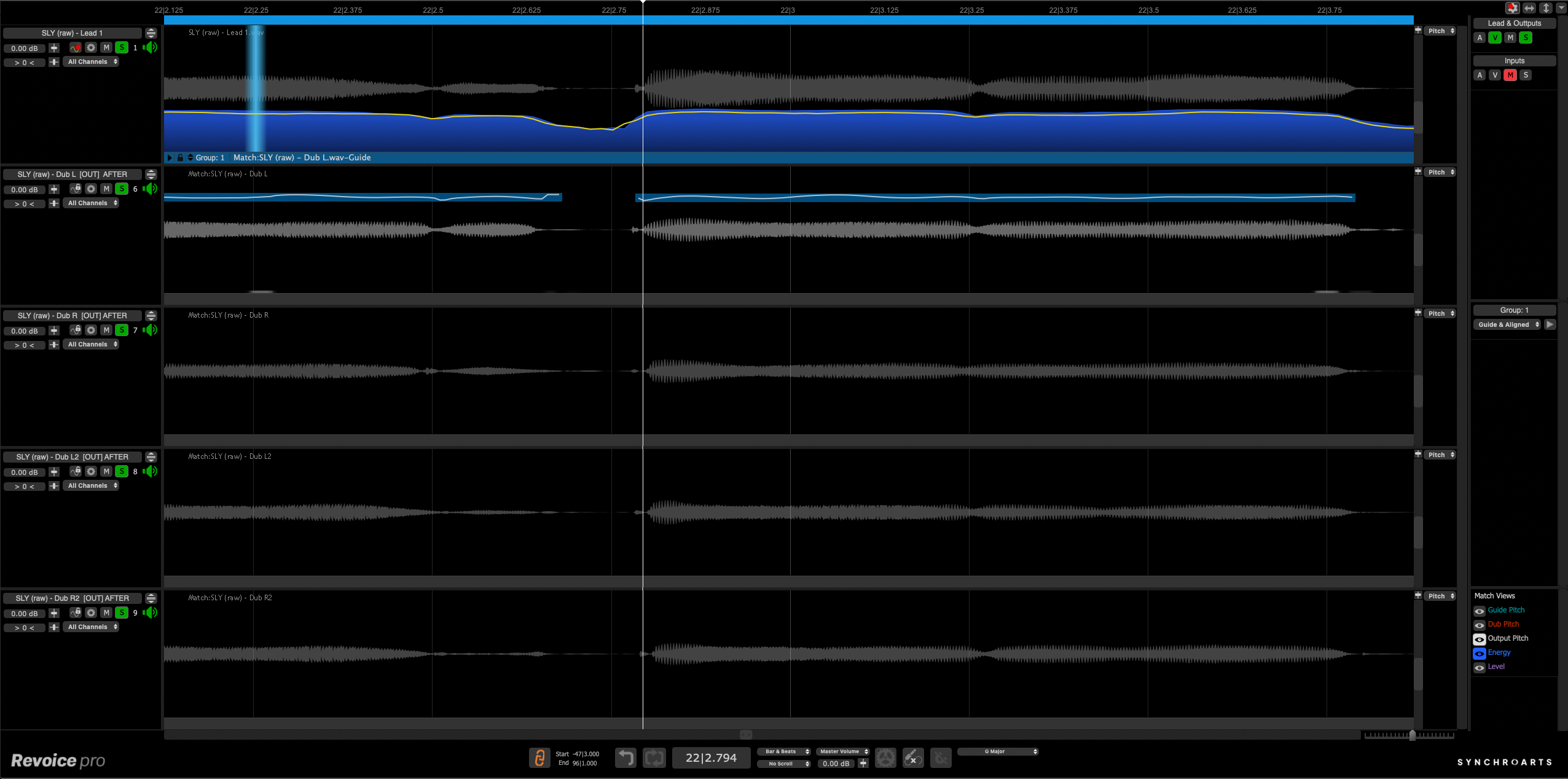 Synchro Arts Revoice Pro 5