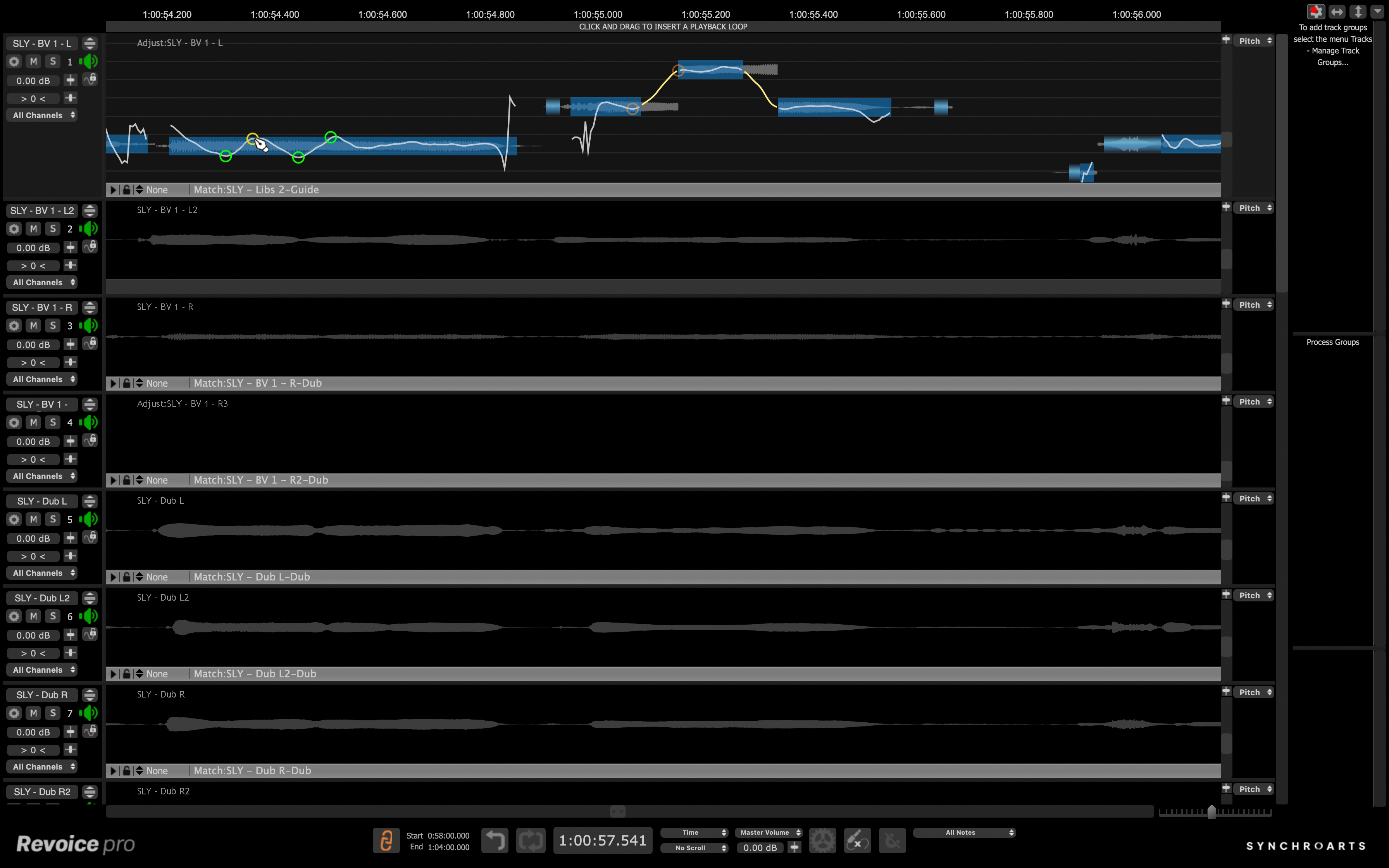 Synchro Arts Revoice Pro 5