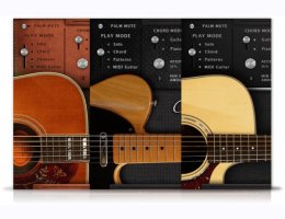 Acousticsamples AS Guitar Collection