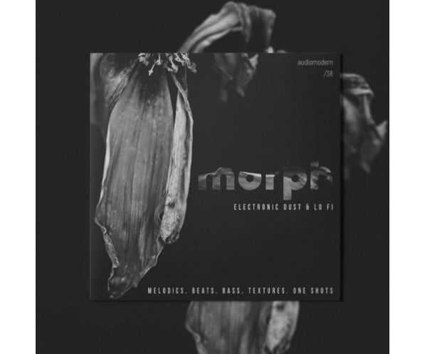Audiomodern Morph